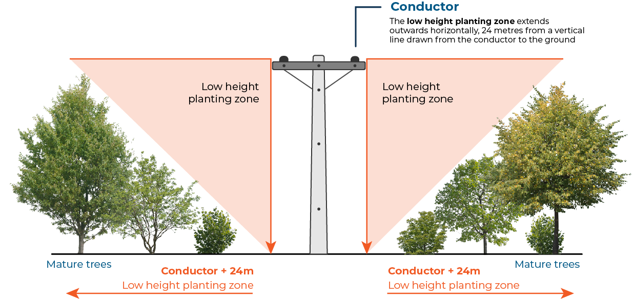 low-height-planting-zone